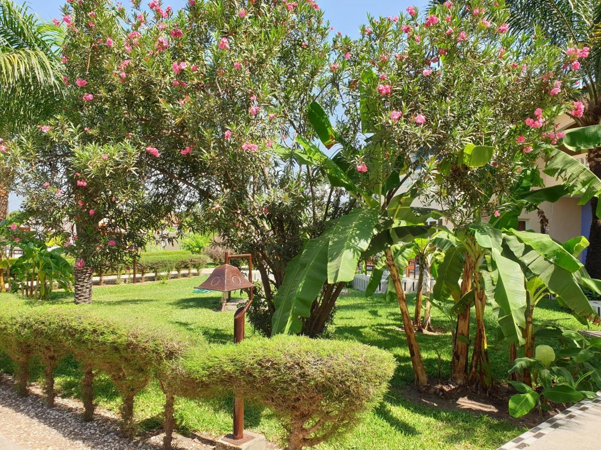 סרקונדה Djeliba Resort מראה חיצוני תמונה